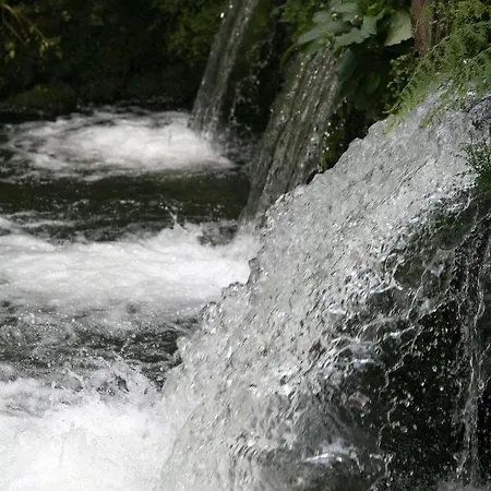 Aires Do Umia 게스트하우스 칼다스 데 레이스